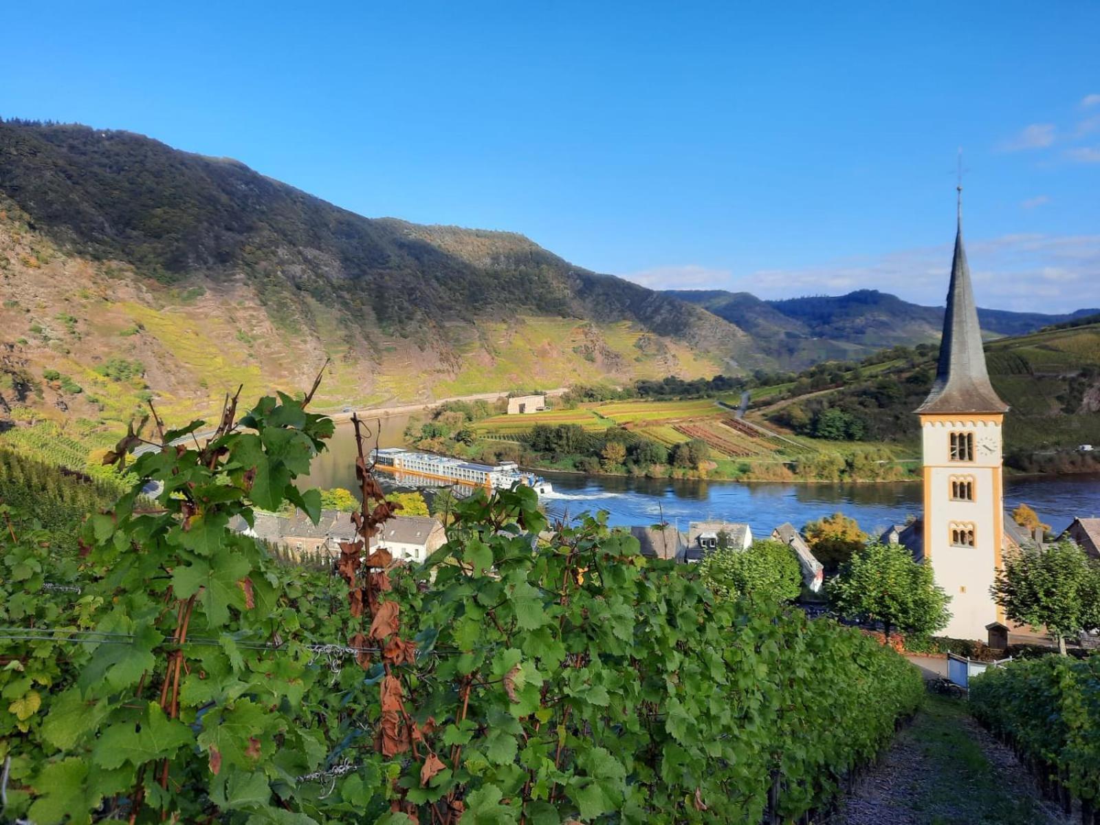 Apartamento Winzerhaus Schenk Neef Exterior foto